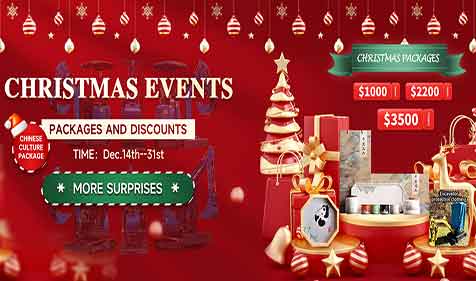 RIPPA Christmas Event: Mini Excavators and Surprise Gifts! ??